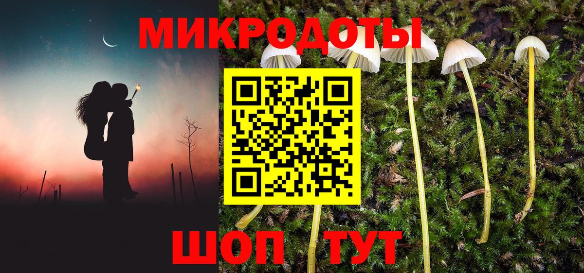 Псилоцибиновые грибы Cubensis Элиста